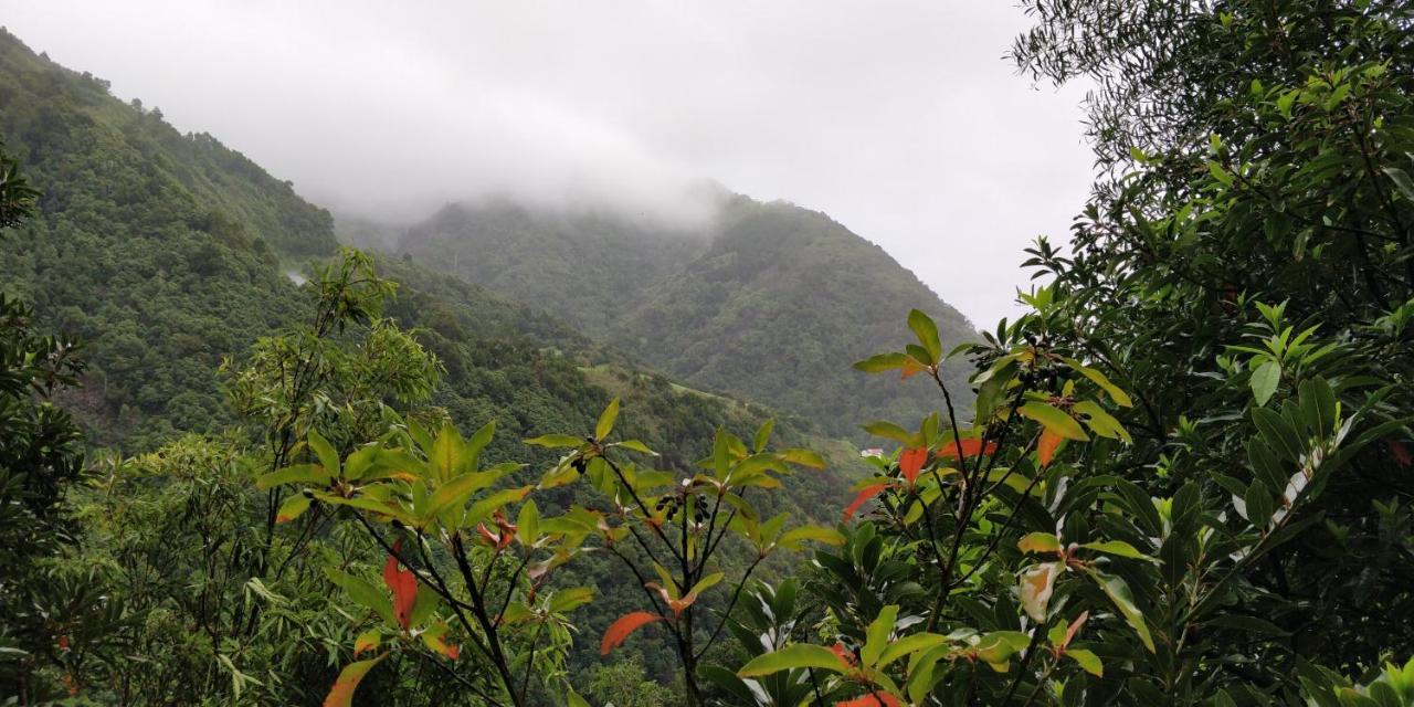 Aldeia Do Sanguinho Hotel Faial da Terra ภายนอก รูปภาพ