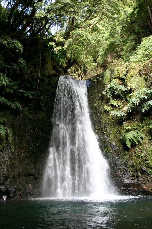 Aldeia Do Sanguinho Hotel Faial da Terra ภายนอก รูปภาพ